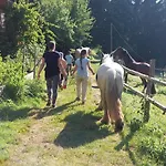 Appartement Vrba *