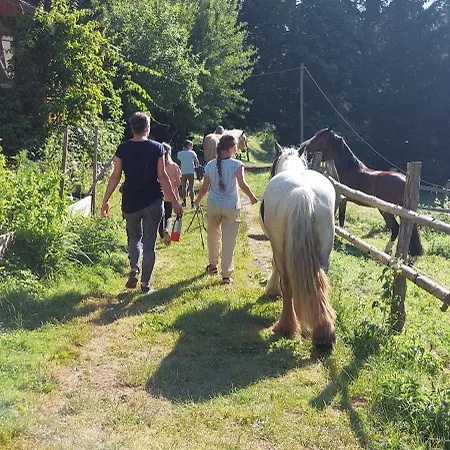 Apartament Vrba *