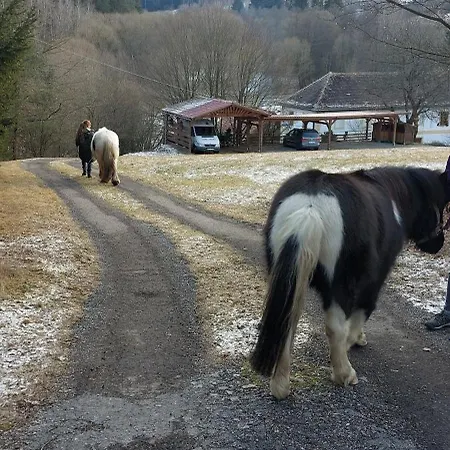 Vrba *
