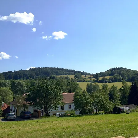 Vrba *